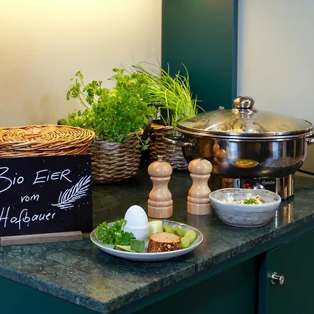 Hotel Das Regensburg Отель 4*