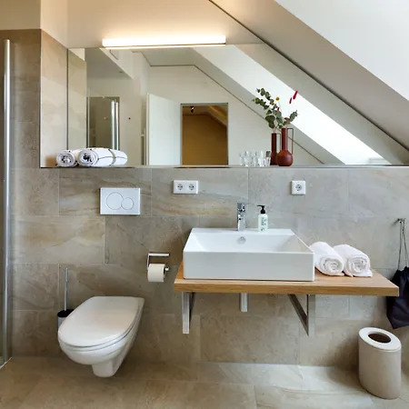 Отель Hotel Das Regensburg