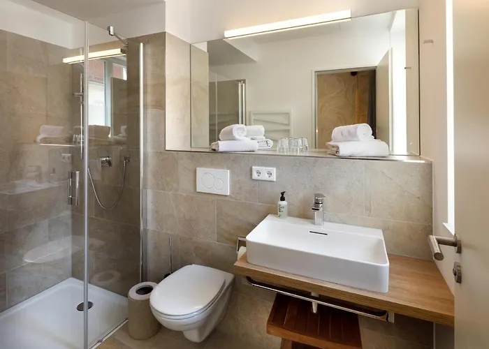 Отель Hotel Das Regensburg 4*